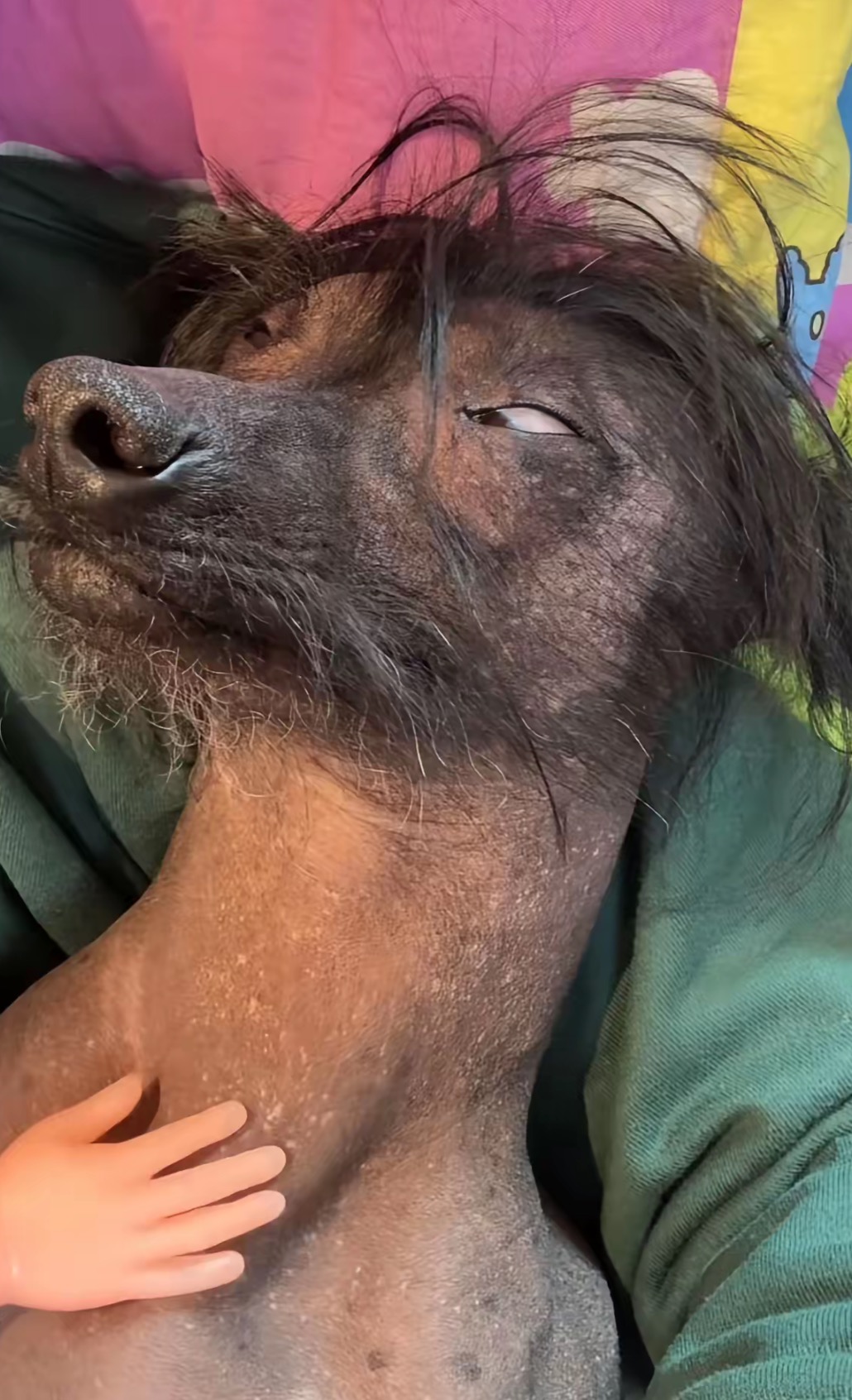 供需图片