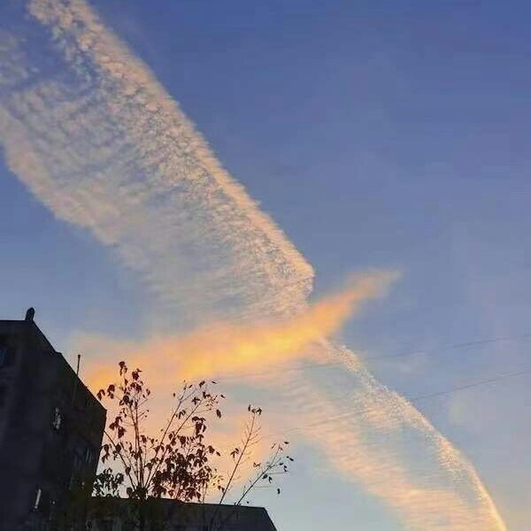 供需图片