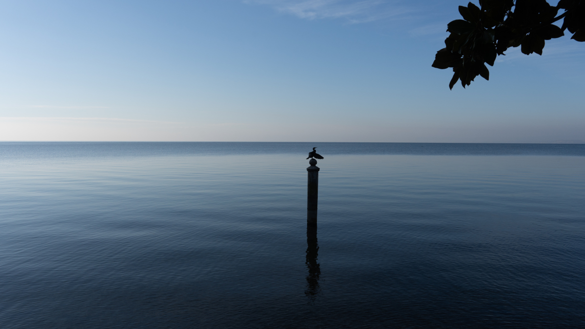 供需图片